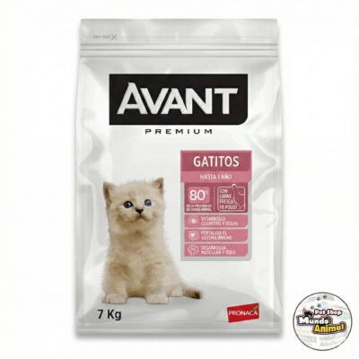 Avant-Gatitos Avant Gatitos