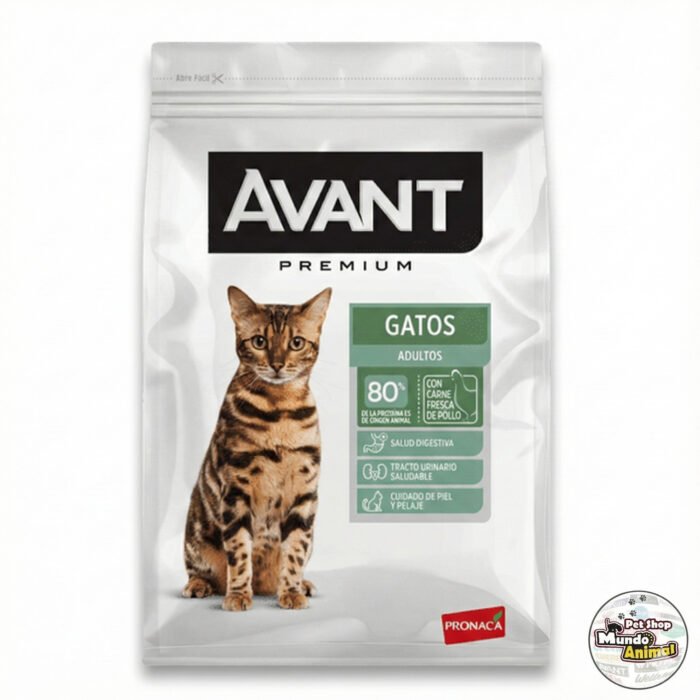 Avant Gato Adulto